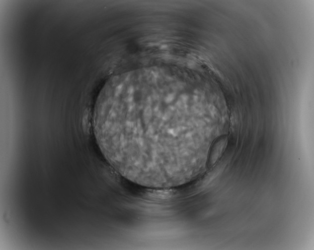 X0000089670671200707201640