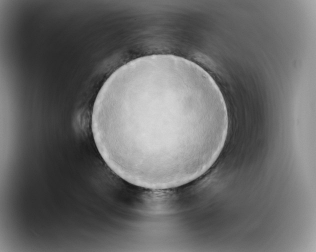 X0000089670672200707201640