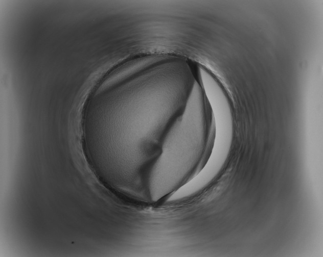 X0000089670673200707201639