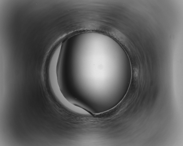 X0000089670676200707201639