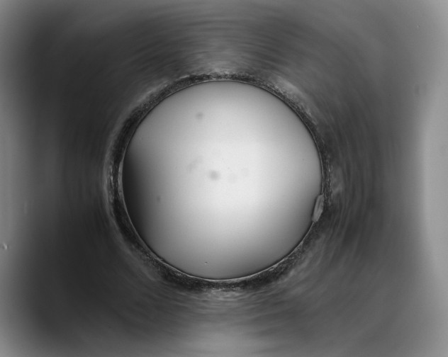 X0000089670680200707201639