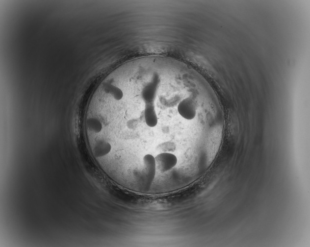 X0000089670683200707201639