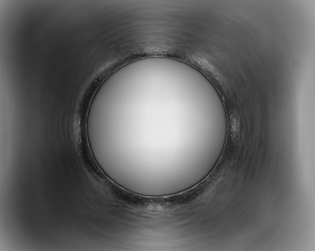 X0000089670684200707201639