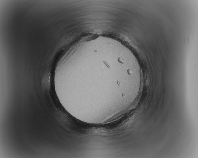 X0000089670685200707201639