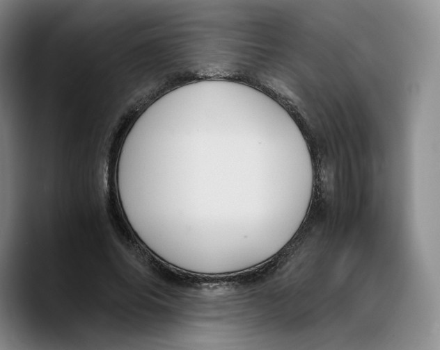 X0000089670686200707201639