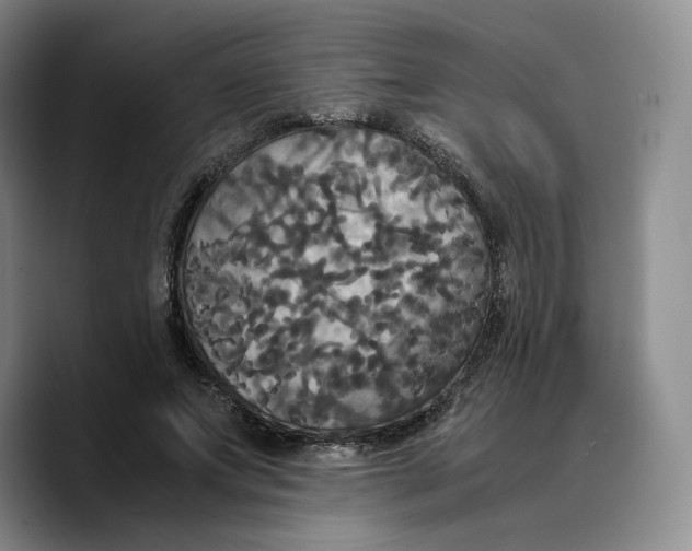 X0000089670687200707201639