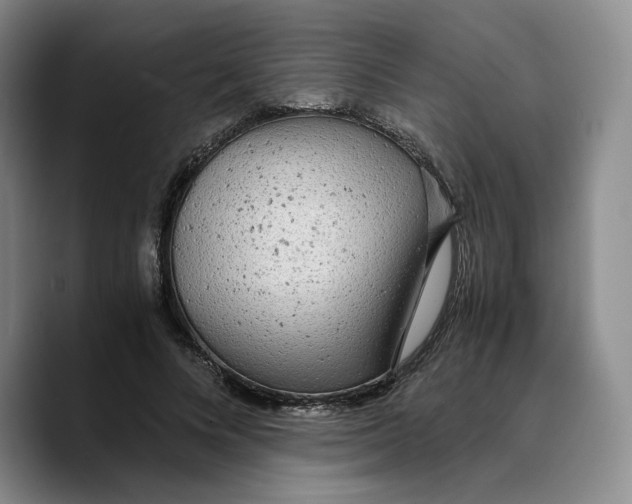 X0000089670688200707201639