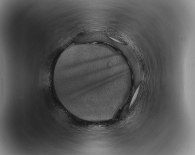 X0000089670689200707201639