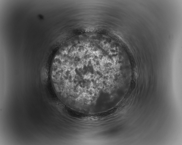 X0000089670691200707201639