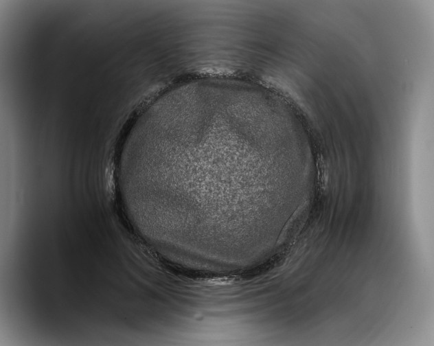 X0000089670692200707201639