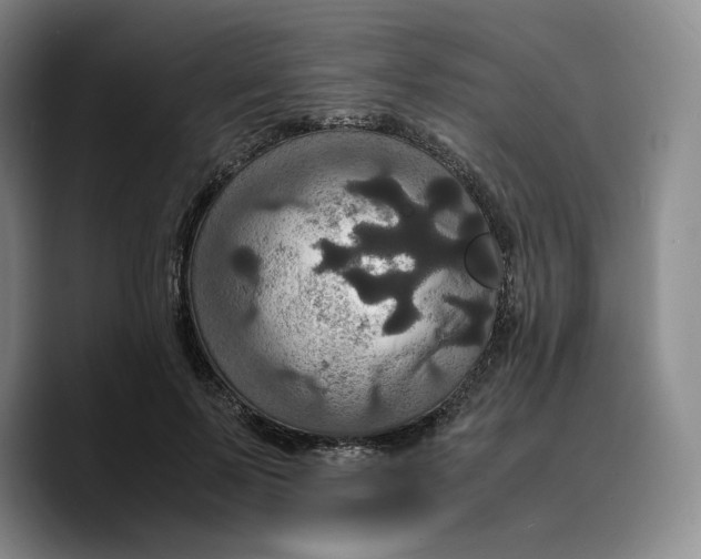 X0000089670695200707201639