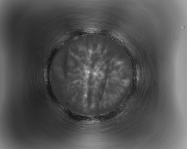 X0000089670696200707201639