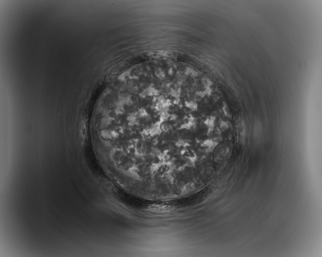 X0000089670699200707201639