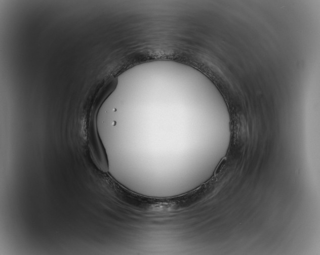 X0000089670700200707201639