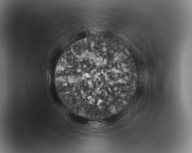 X0000089670703200707201639