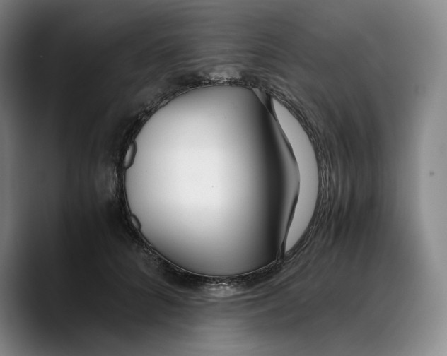 X0000089670704200707201639