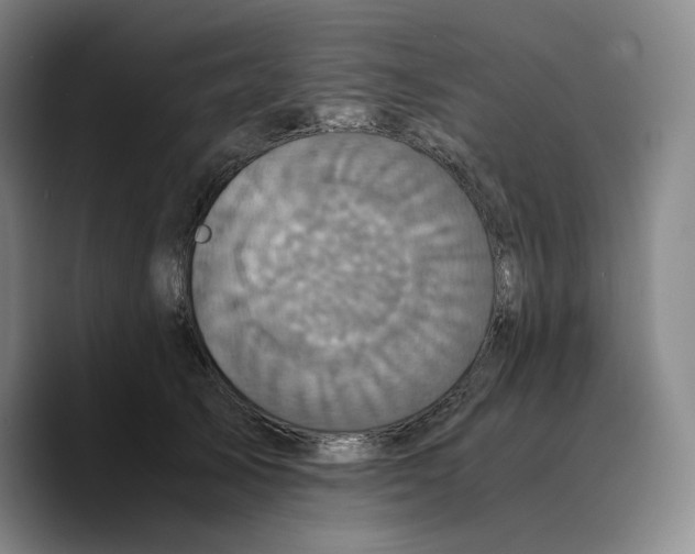 X0000089670705200707201639
