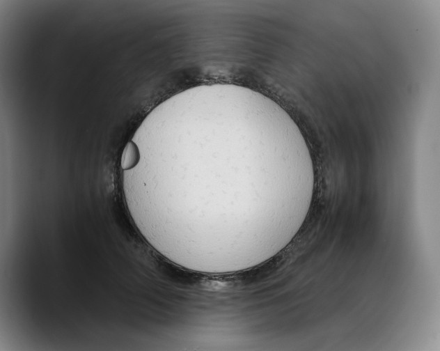 X0000089670706200707201639