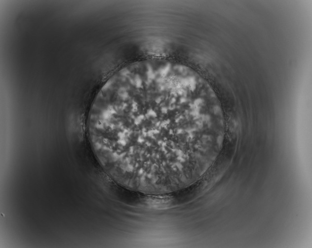 X0000089670707200707201639