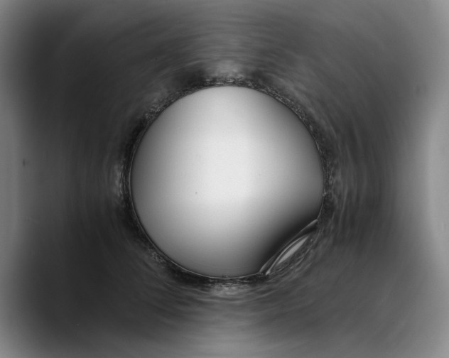 X0000089670708200707201639
