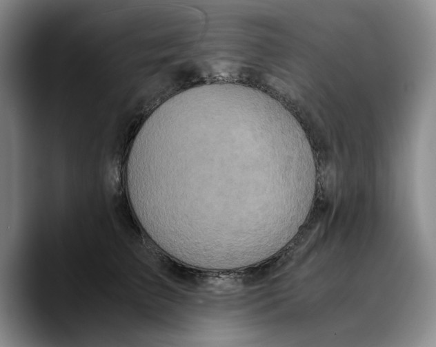 X0000089670709200707201639