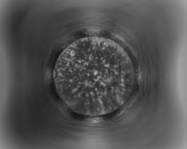 X0000089670711200707201639