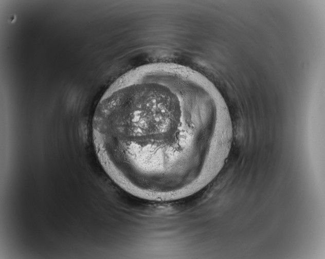 X0000089670715200707201639