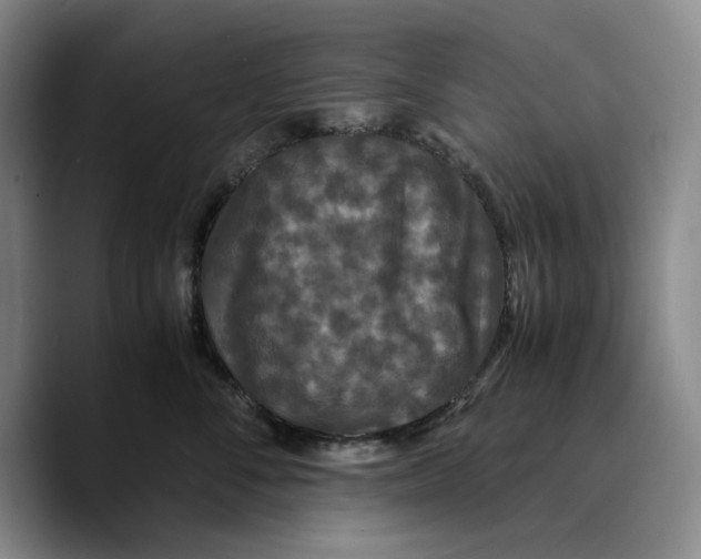 X0000089670716200707201639