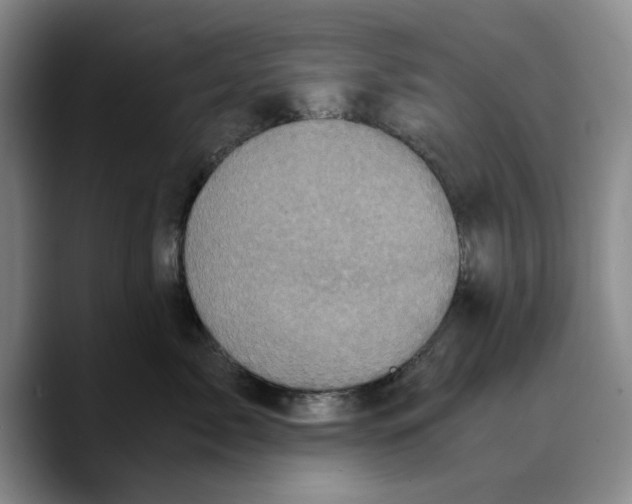 X0000089670717200707201639