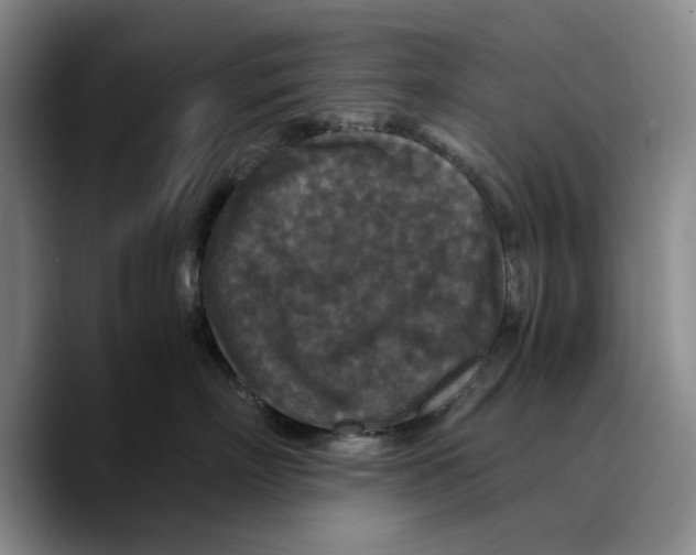 X0000089670718200707201639