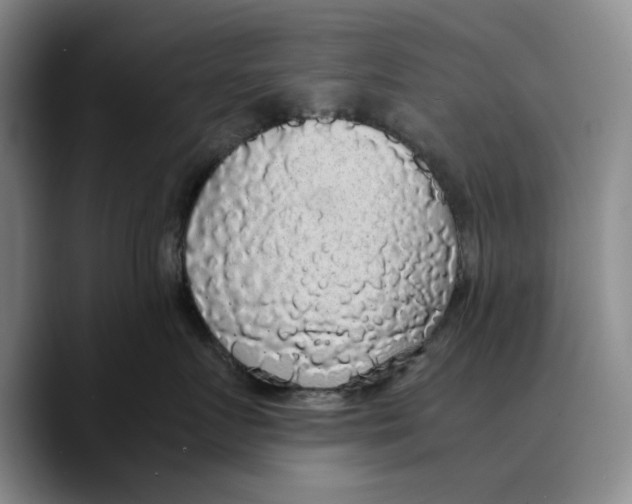 X0000089670719200707201639