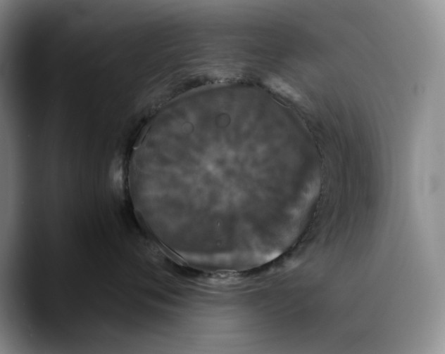 X0000089670720200707201639