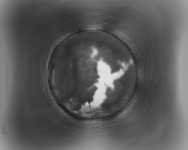 X0000089670721200707201638