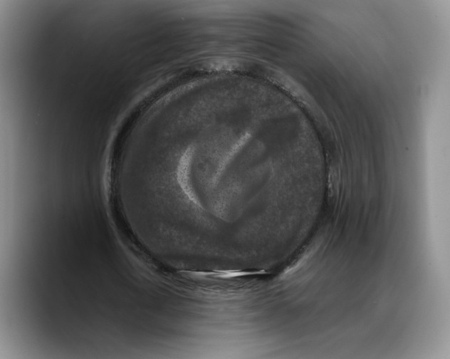 X0000089670722200707201638