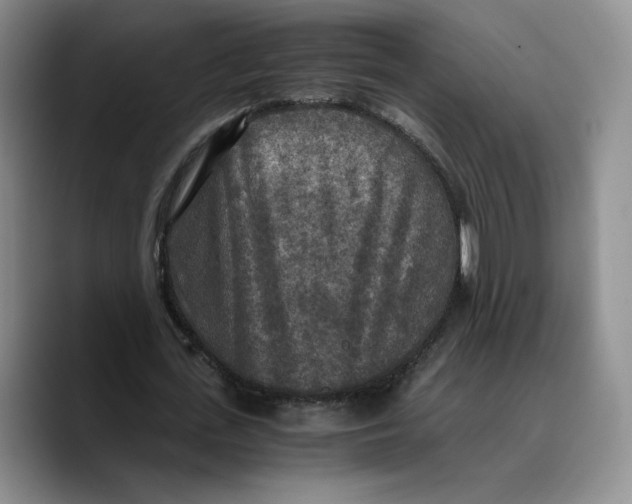X0000089670723200707201638