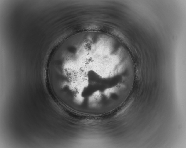 X0000089670725200707201638