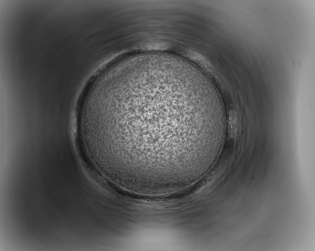 X0000089670726200707201638