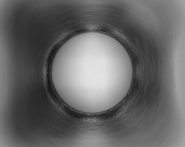 X0000089670730200707201638