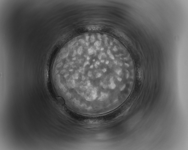 X0000089670733200707201638