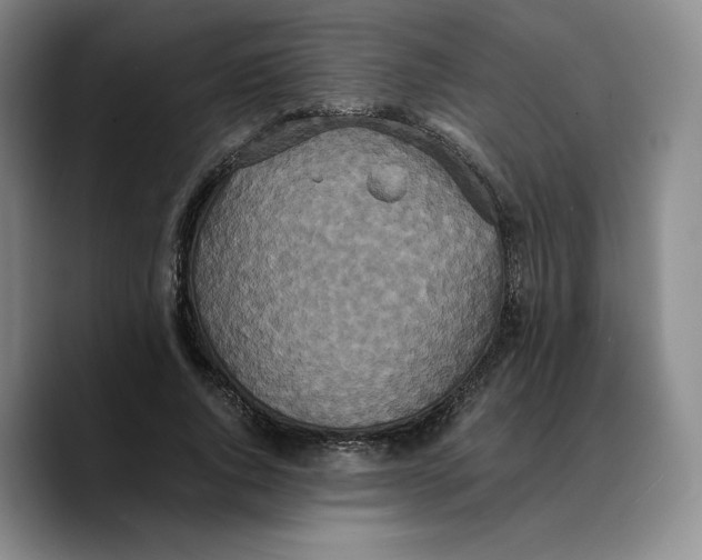 X0000089670736200707201638