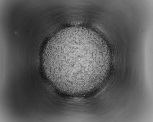 X0000089670737200707201638