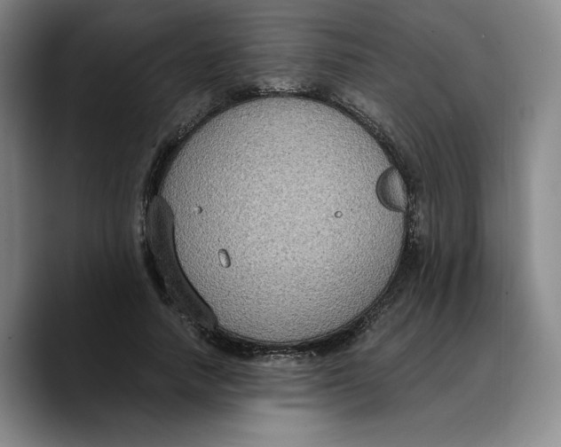 X0000089670738200707201638