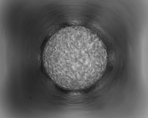 X0000089670749200707201639