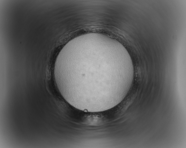 X0000089670751200707201639