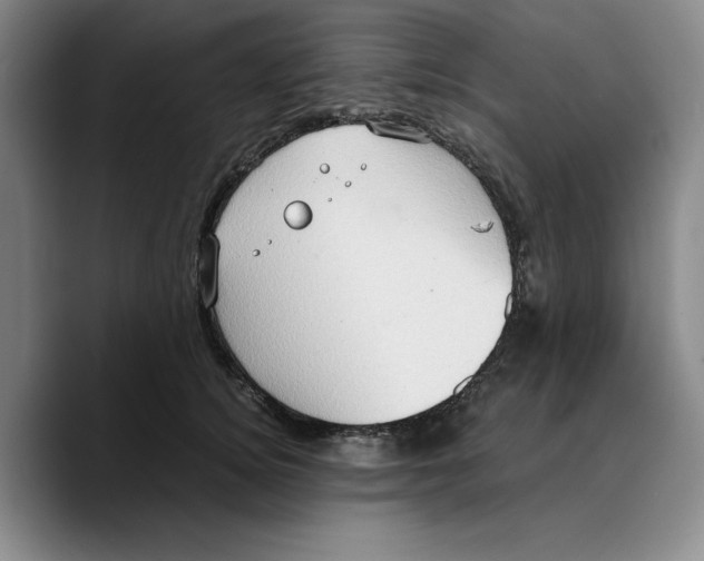 X0000089670756200707201639