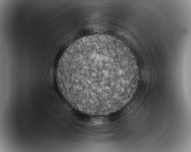 X0000089670757200707201639