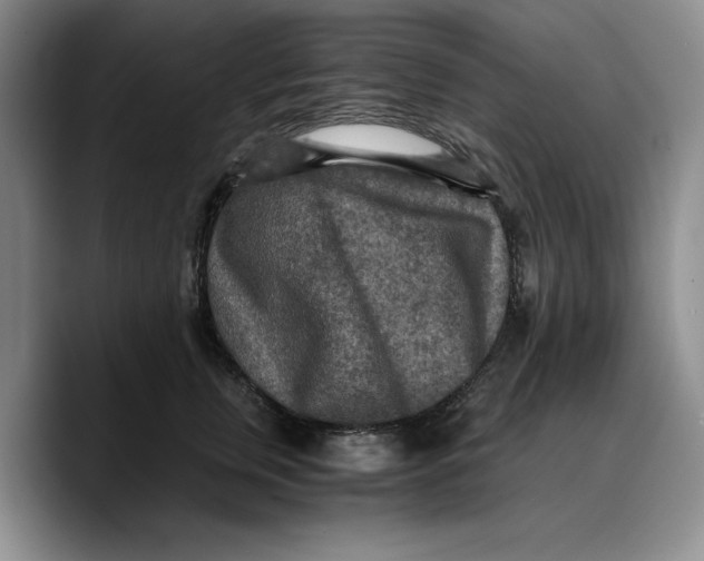 X0000089670759200707201639