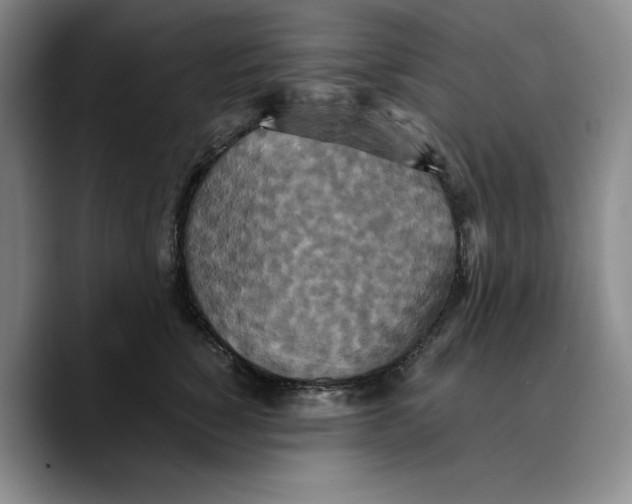 X0000089670760200707201639