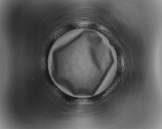 X0000089670762200707201639
