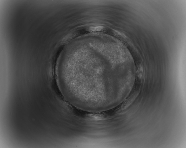 X0000089670763200707201639